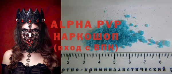 прущие грибы Баксан