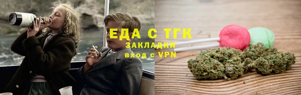 индика Няндома