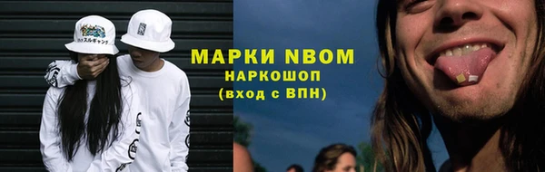 прущие грибы Баксан