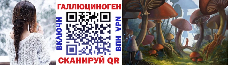 Галлюциногенные грибы мухоморы  что такое наркотик  Гвардейск 